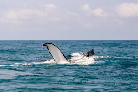 Activities & Excursions | Nahyeeni Lodge