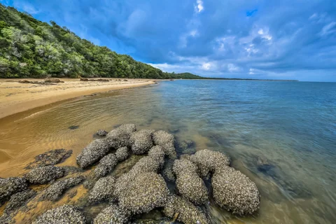 Activities & Excursions | Nahyeeni Lodge